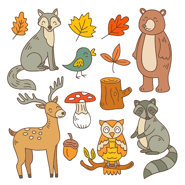 手描きの秋の森の動物コレクション