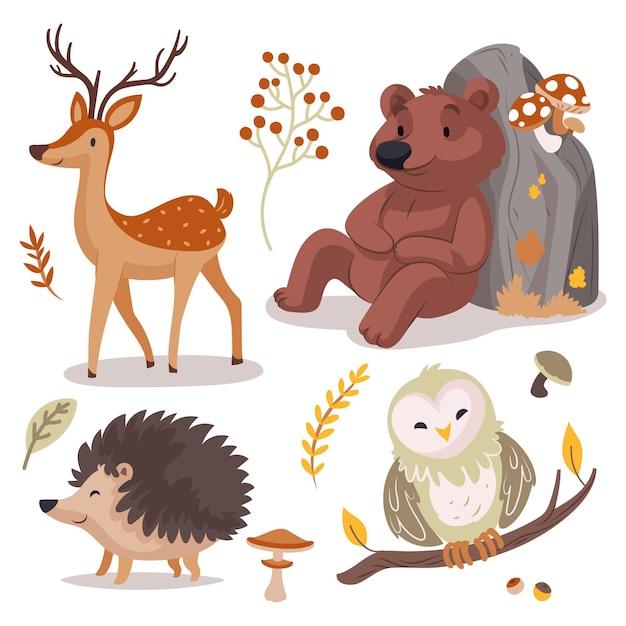 手描きの秋の森の動物コレクション