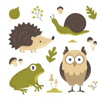 Hand drawn autumn forest animals set