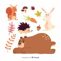 Free vector hand drawn autumn forest animals