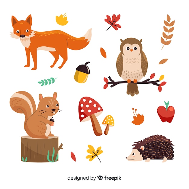 Hand drawn autumn forest animals