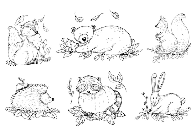 無料ベクター 手描きの秋の森の動物
