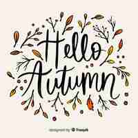 Free vector hand drawn autumn forest leaves background