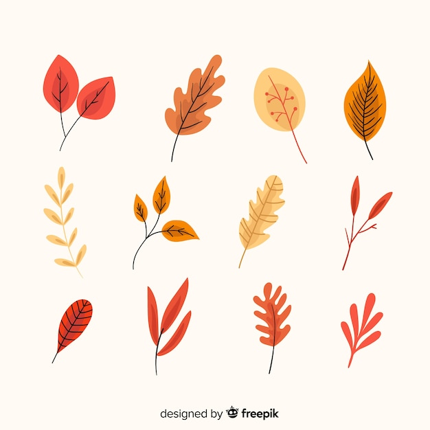 Hand drawn autumn forest leaves collection