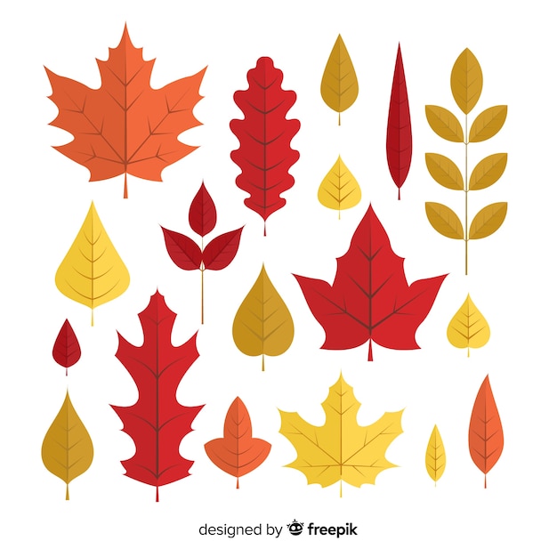 Free vector hand drawn autumn forest leaves collection