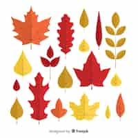 Free vector hand drawn autumn forest leaves collection