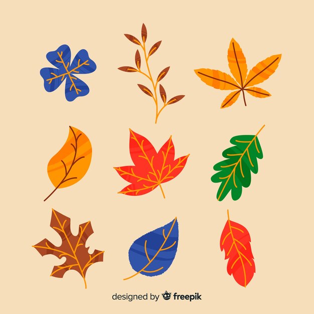 Hand drawn autumn forest leaves collection