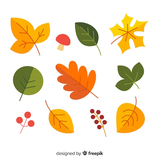 Hand drawn autumn forest leaves collection