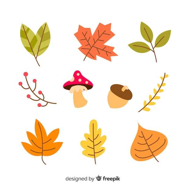 Free vector hand drawn autumn forest leaves collection