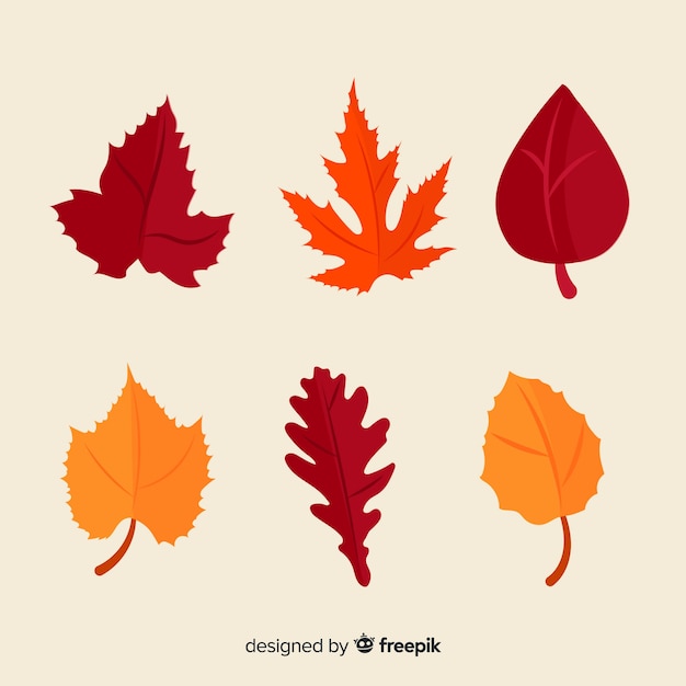 Hand drawn autumn forest leaves collection