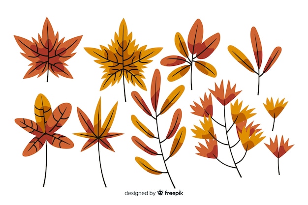 Free vector hand drawn autumn forest leaves collection