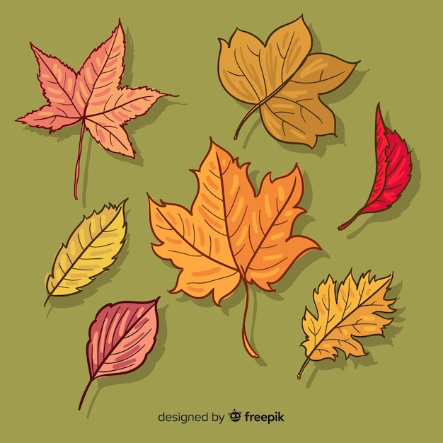 手描き秋の森の葉のコレクション