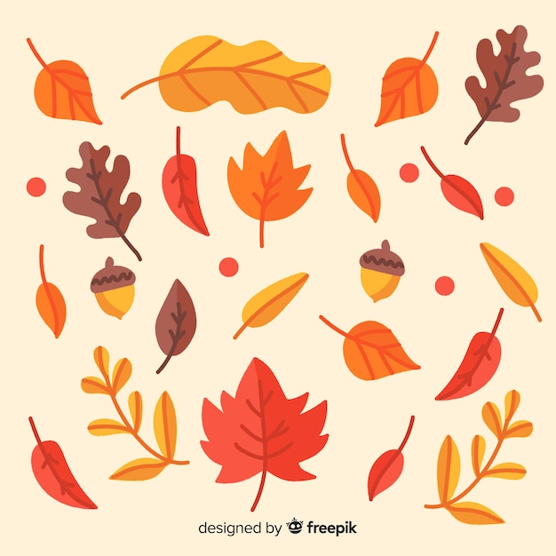 Hand drawn autumn leaves collection