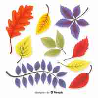 Free vector hand drawn autumn leaves collection