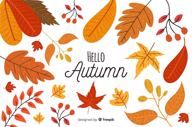Free Vector hand drawn autumn leaves collection
