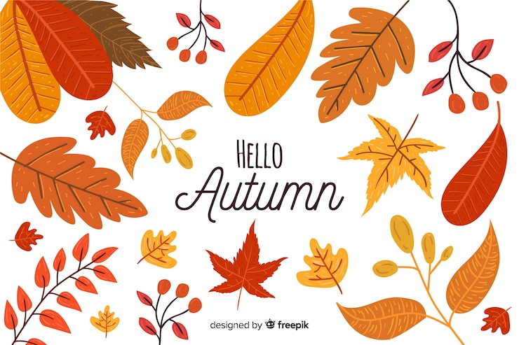 Free Vector hand drawn autumn leaves collection