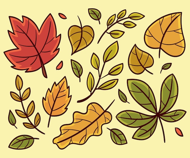 Hand drawn autumn leaves collection