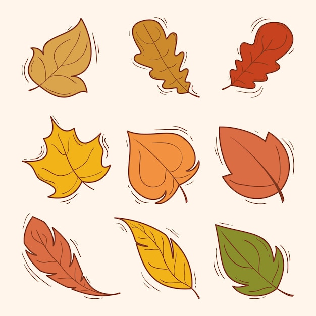 Hand drawn autumn leaves collection