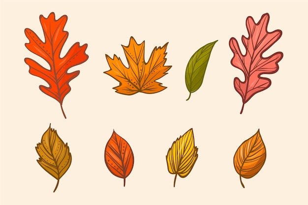 Free vector hand drawn autumn leaves collection