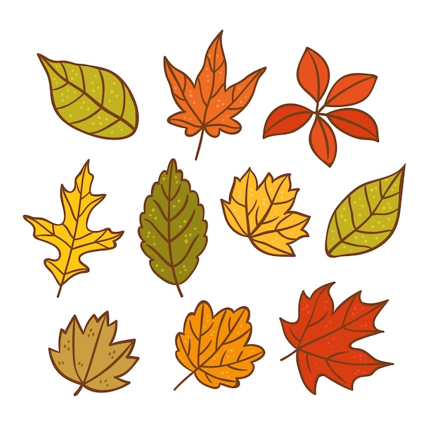 Free vector hand drawn autumn leaves collection