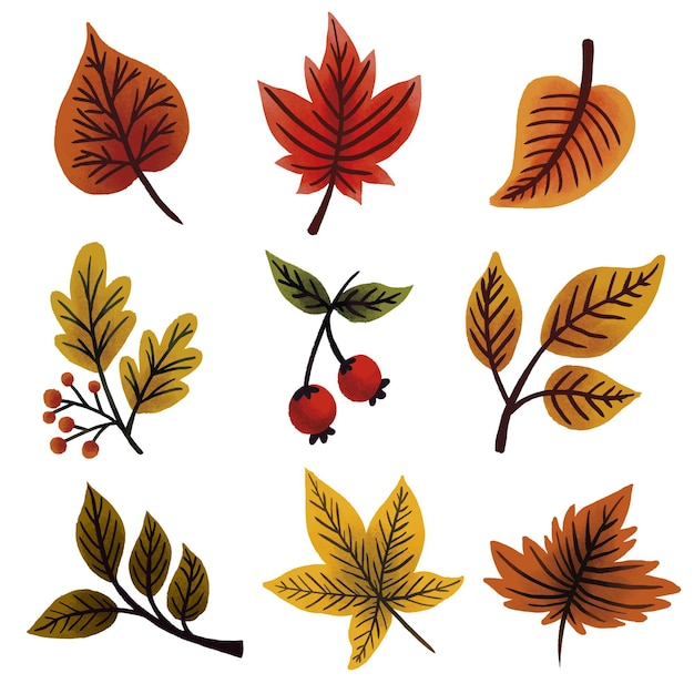 Free vector hand drawn autumn leaves collection