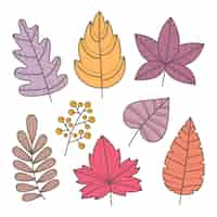 Free vector hand drawn autumn leaves collection