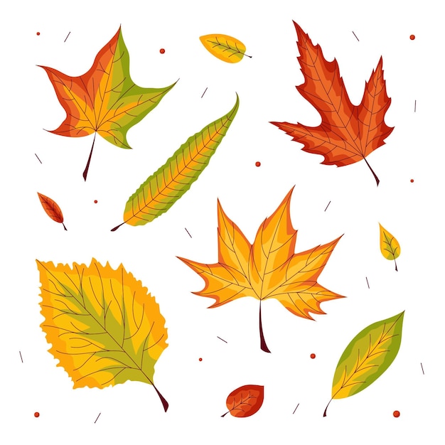 Free vector hand drawn autumn leaves collection