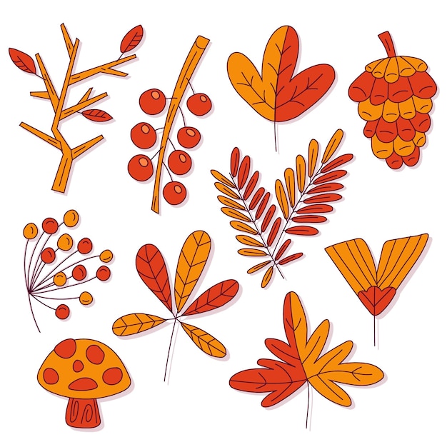 Hand drawn autumn leaves collection