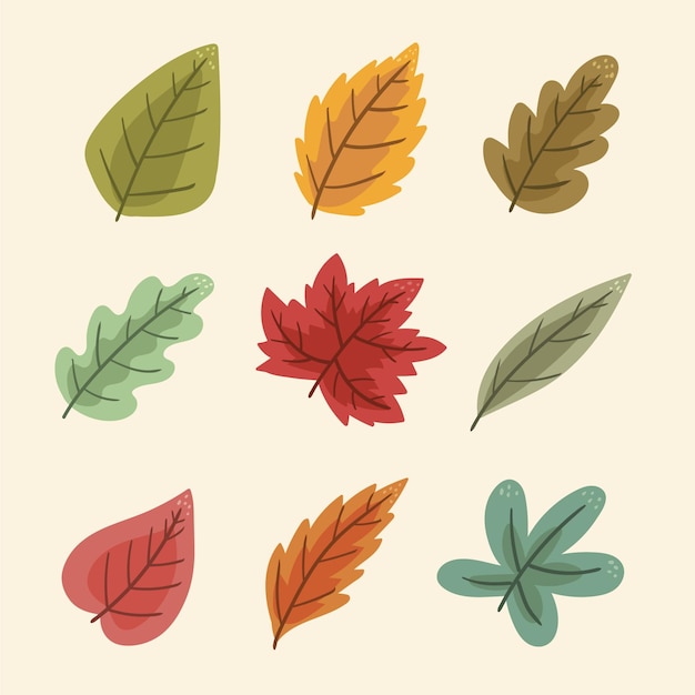 Collezione di foglie autunnali disegnate a mano Vettore gratuito