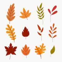 Free vector hand drawn autumn leaves collection