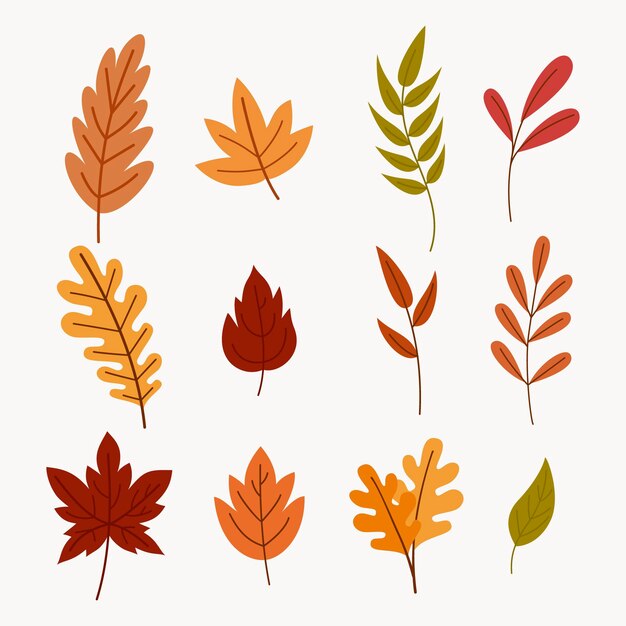 hand drawn autumn leaves collection