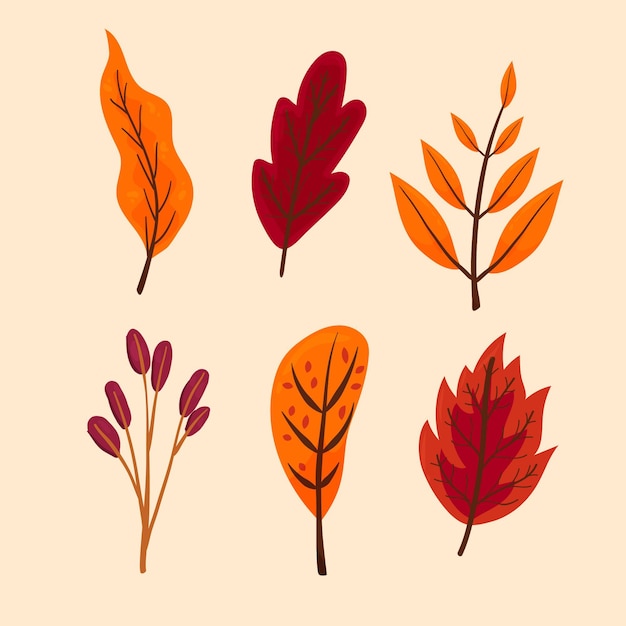 Бесплатное векторное изображение Коллекция рисованной осенних листьев