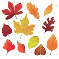 Free vector hand drawn autumn leaves collection