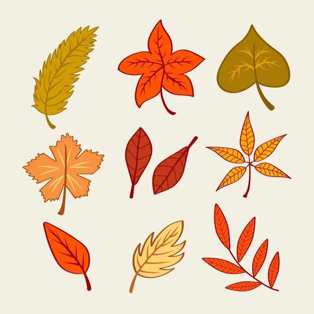 Набор рисованной осенних листьев