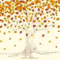 Free vector hand drawn autumn tree background