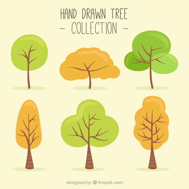 Hand drawn autumn tree collection