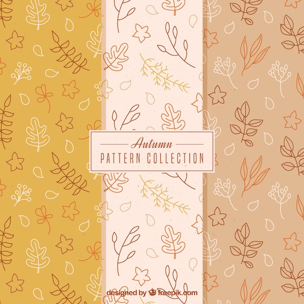 Hand drawn autumnal pattern collection