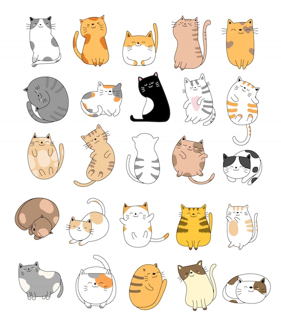 Cat Images Free Vectors Stock Photos Psd