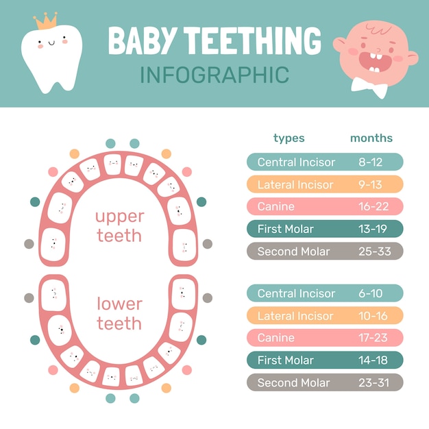 Free vector hand drawn baby weight infographic