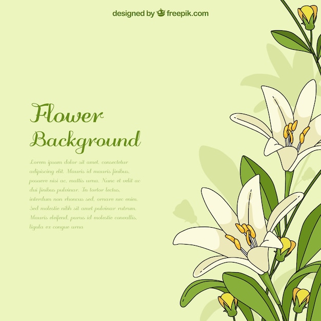 Free vector hand drawn background with exotic flowers