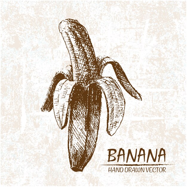 Ручной обращается дизайн банан