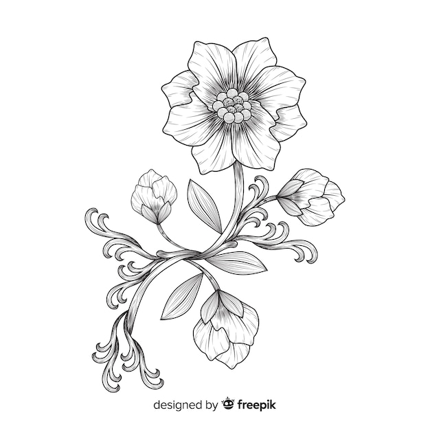 Free vector hand drawn baroque flowers