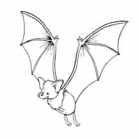 Free vector hand drawn bat outline illustration