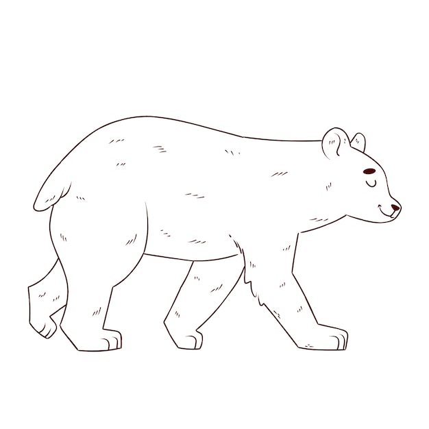 Illustrazione del profilo dell'orso disegnato a mano