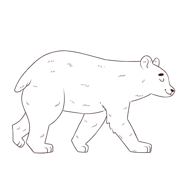 손으로 그린 곰 개요 그림
