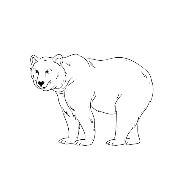 Нарисованная рукой иллюстрация контура медведя