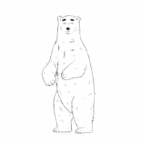 Free vector hand drawn bear outline illustration