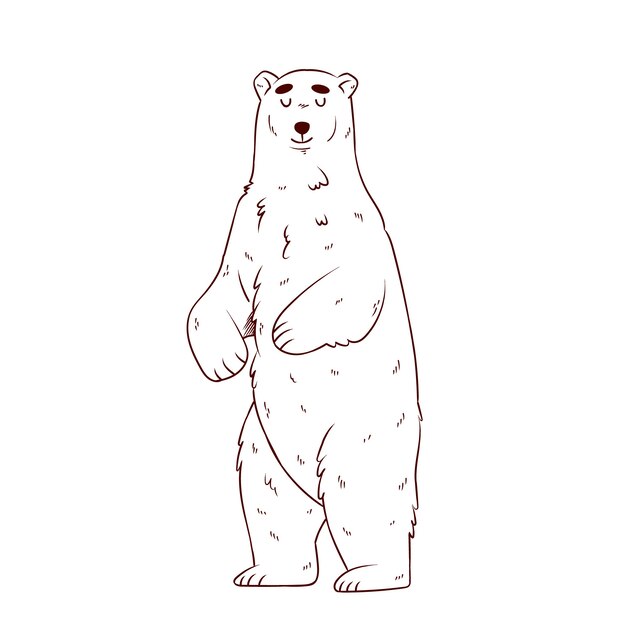 hand drawn bear outline illustration
