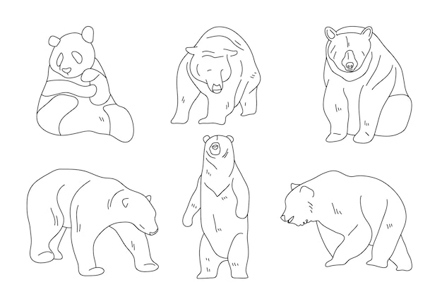 無料ベクター 手描きのクマの概要図