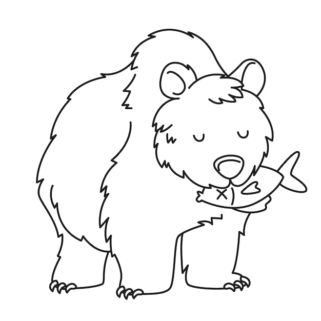 Hand drawn bear outline illustration